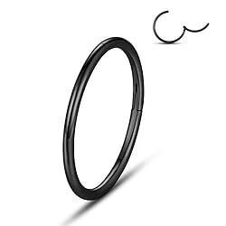 WBRWP Stainless Steel Hinged Ring Hoop